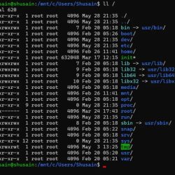 Lab 10-1 linux directory structures