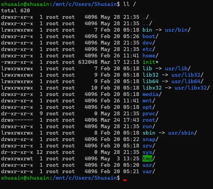 Lab 10-1 linux directory structures