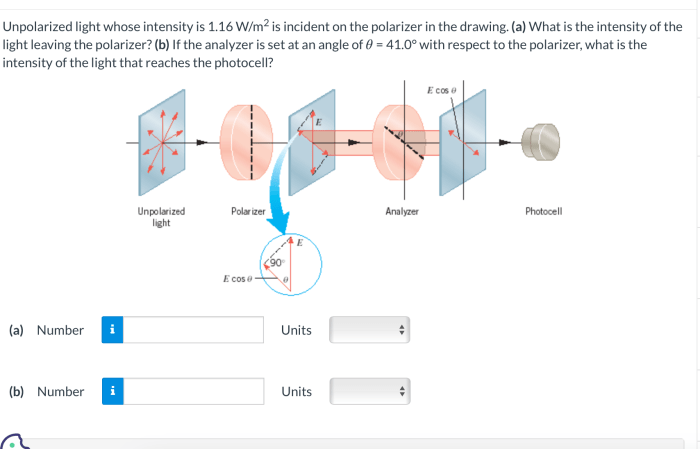 Intensity unpolarized solved polarizer transcribed