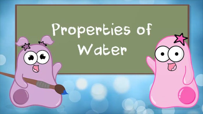 Amoeba sisters video recap answers properties of water