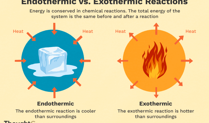 Endothermic reactions vs exothermic reactions worksheet answers