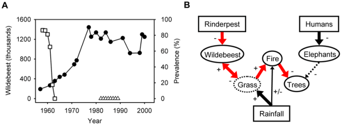 Population regulation in the serengeti answers